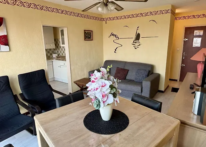 Apartamento 2 Pieces 6 Couchages Sur Ar200-098